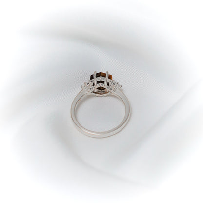 Solar Sentinel: The Empowerment Ring