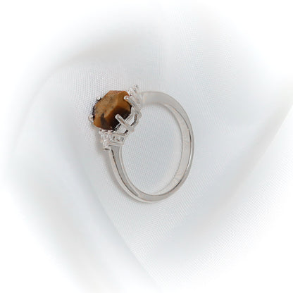 Solar Sentinel: The Empowerment Ring