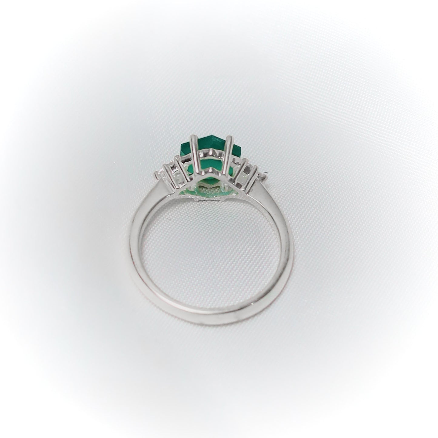 Verdant Vision: The Ring of Conscious Change