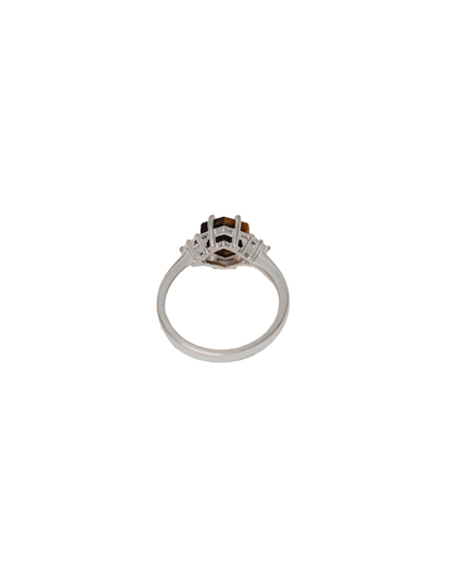 Solar Sentinel: The Empowerment Ring